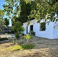 Mooi landhuis met grote padelbaan in Pinoso Villas