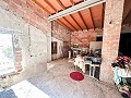 Huge house in the countryside with plots in Pinoso in Pinoso Villas