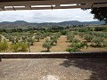 Villa con Piscina cerca del pueblo in Pinoso Villas