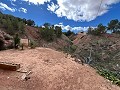 Maison de campagne à Pinoso avec 2 chambres troglodytes in Pinoso Villas