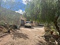 Maison de campagne à Pinoso avec 2 chambres troglodytes in Pinoso Villas