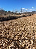 Grand terrain à vendre près de Pinoso in Pinoso Villas