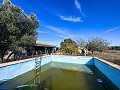 Country House with Pool and Guest House between Sax and Salinas in Pinoso Villas