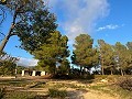 Gran casa de campo in Pinoso Villas