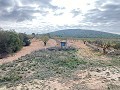 Enorme casa de campo para reformar in Pinoso Villas